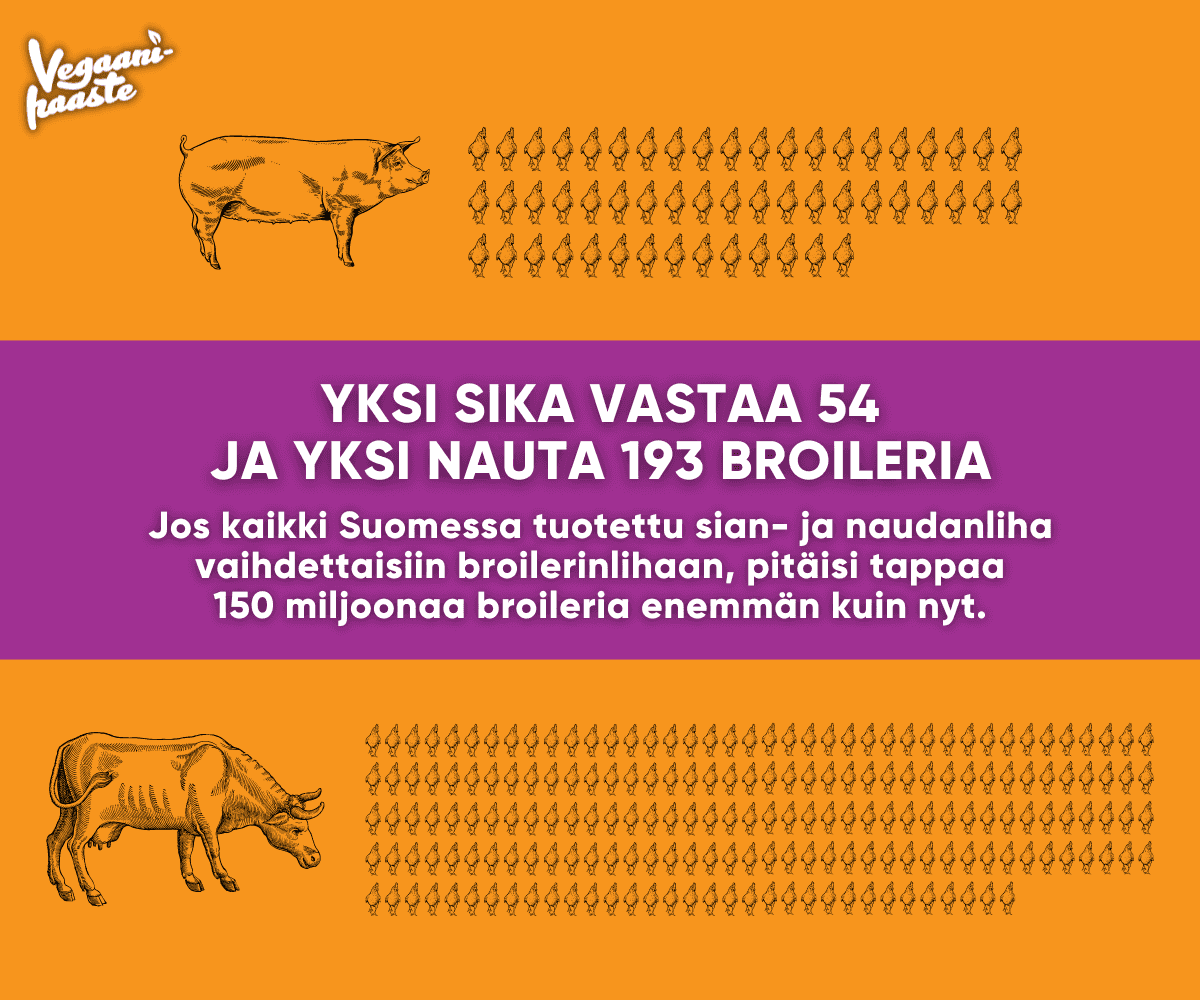 Kuvassa on piirrossika ja sen vieressä 54 broileria sekä nauta ja sen vieressä 193 broileria. Kuvassa on tekstit: "Yksi sika vastaa 54 ja yksi nauta 193 broileria." sekä "Jos kaikki Suomessa tuotettu sian- ja naudanliha vaihdettaisiin broilerinlihaan, pitäisi tappaa 150 miljoonaa broileria enemmän kuin nyt."